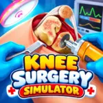 Knee Surgery Simulator